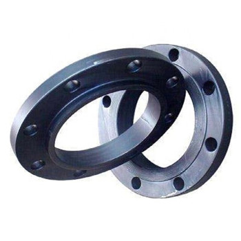 ANSI / DIN carbono forjado / aço inoxidável Pn10 / 16 pescoço de soldagem / cego / deslizante / plano / RF / FF flanges de tubo 